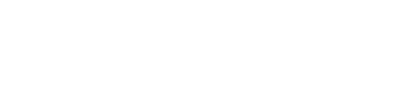 VISION